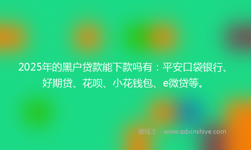 2025年的黑户贷款能下款吗有：平安口袋银行、好期贷、花呗、小花钱包、e微贷等。