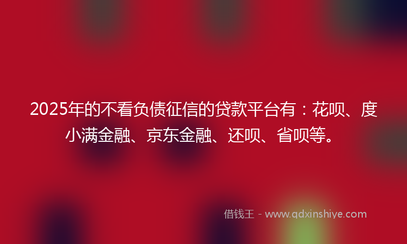 2025年的不看负债征信的贷款平台有：花呗、度小满金融、京东金融、还呗、省呗等。