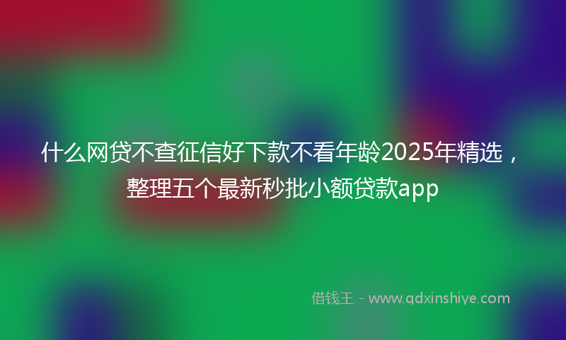 什么网贷不查征信好下款不看年龄2025年精选，整理五个最新秒批小额贷款app