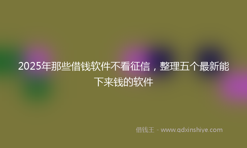 2025年那些借钱软件不看征信，整理五个最新能下来钱的软件