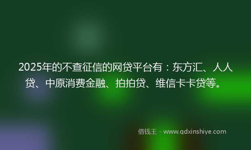 2025年的不查征信的网贷平台有：东方汇、人人贷、中原消费金融、拍拍贷、维信卡卡贷等。