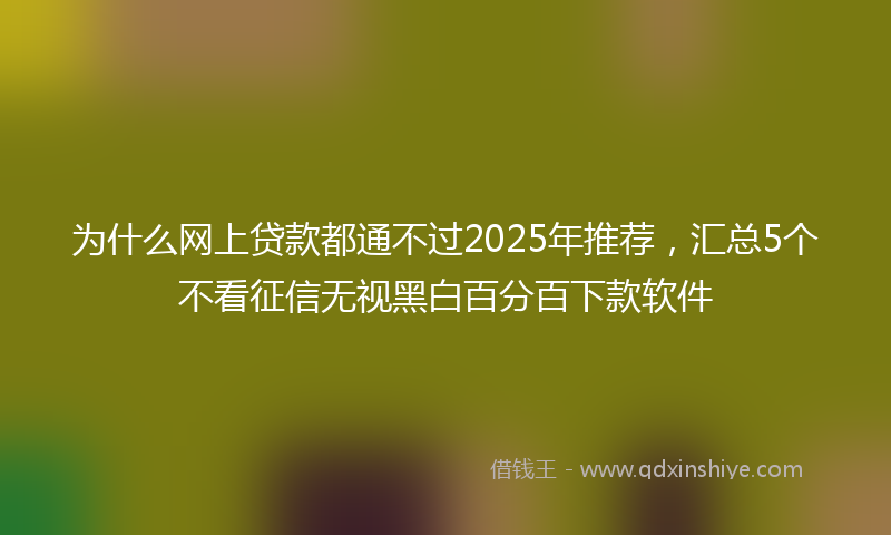 为什么网上贷款都通不过2025年推荐，汇总5个不看征信无视黑白百分百下款软件