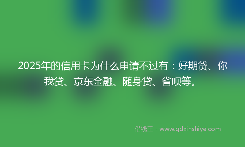 2025年的信用卡为什么申请不过有：好期贷、你我贷、京东金融、随身贷、省呗等。