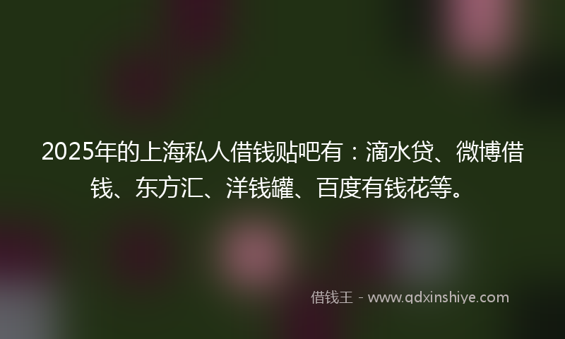 2025年的上海私人借钱贴吧有：滴水贷、微博借钱、东方汇、洋钱罐、百度有钱花等。