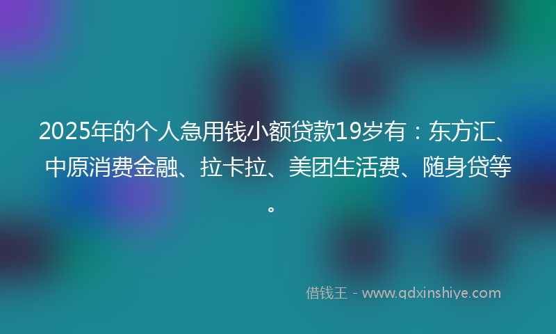 2025年的个人急用钱小额贷款19岁有：东方汇、中原消费金融、拉卡拉、美团生活费、随身贷等。