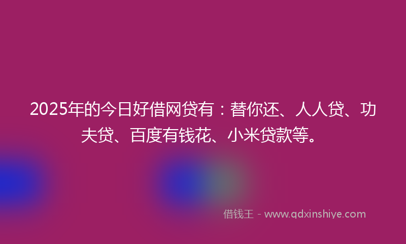 2025年的今日好借网贷有：替你还、人人贷、功夫贷、百度有钱花、小米贷款等。
