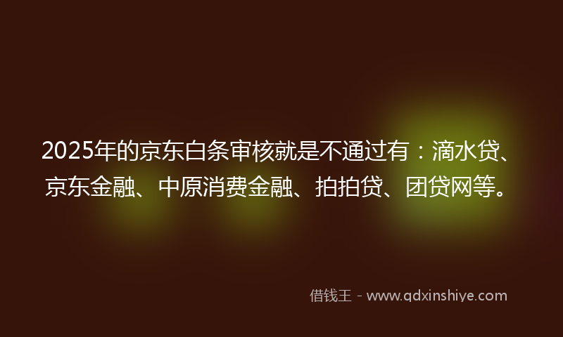 2025年的京东白条审核就是不通过有：滴水贷、京东金融、中原消费金融、拍拍贷、团贷网等。