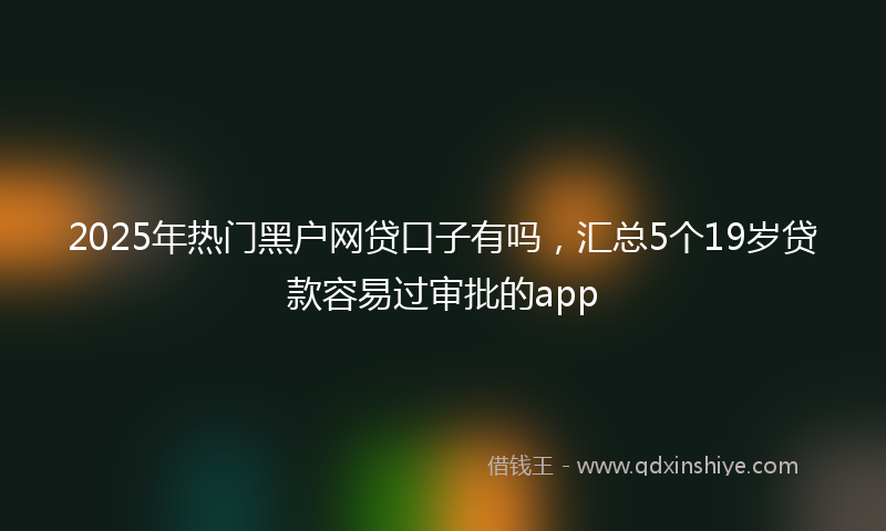 2025年热门黑户网贷口子有吗，汇总5个19岁贷款容易过审批的app