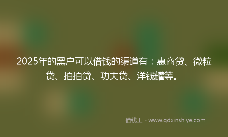 2025年的黑户可以借钱的渠道有：惠商贷、微粒贷、拍拍贷、功夫贷、洋钱罐等。