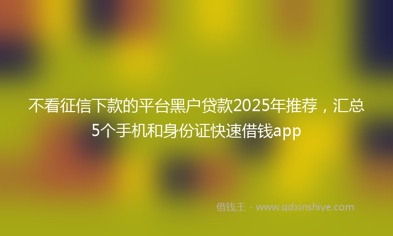 不看征信下款的平台黑户贷款2025年推荐，汇总5个手机和身份证快速借钱app