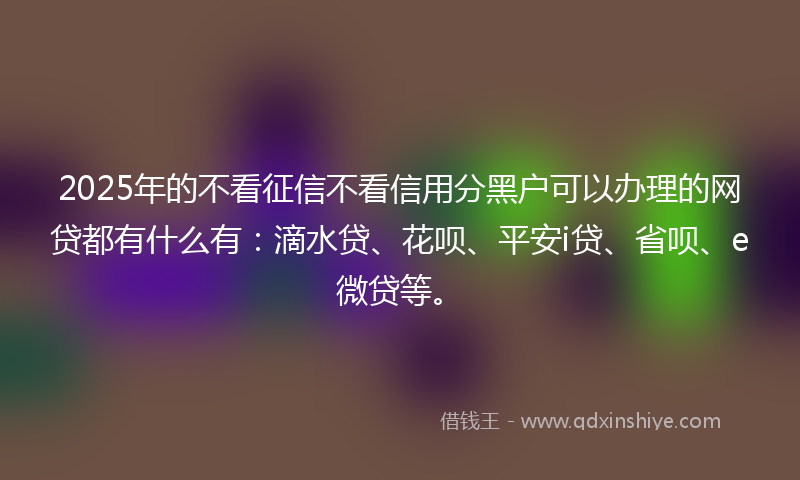 2025年的不看征信不看信用分黑户可以办理的网贷都有什么有：滴水贷、花呗、平安i贷、省呗、e微贷等。