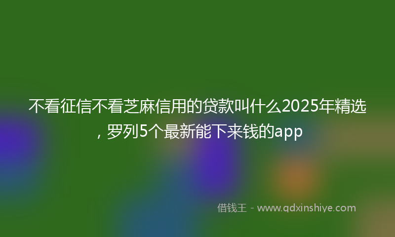 不看征信不看芝麻信用的贷款叫什么2025年精选，罗列5个最新能下来钱的app