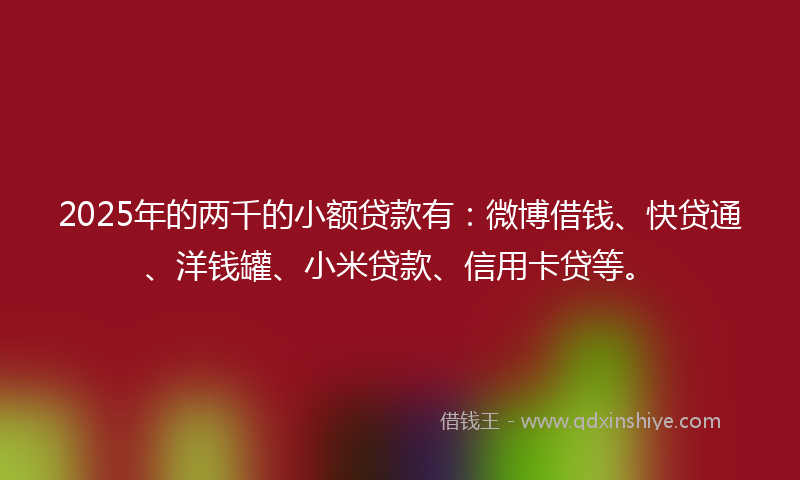 2025年的两千的小额贷款有：微博借钱、快贷通、洋钱罐、小米贷款、信用卡贷等。