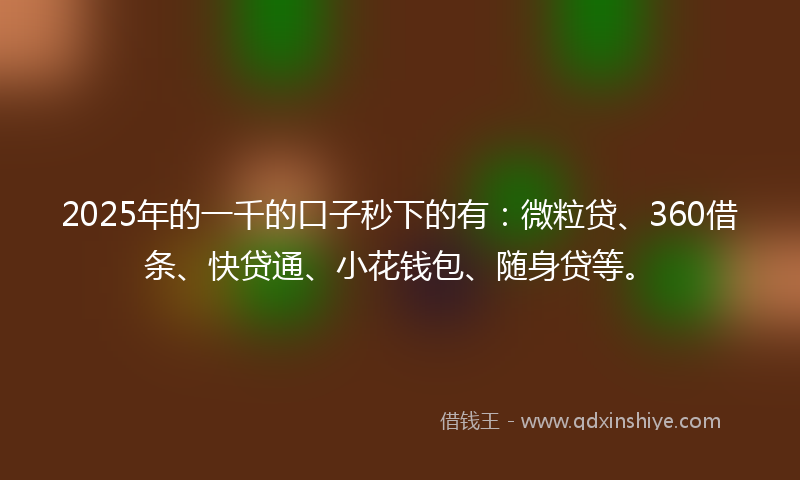 2025年的一千的口子秒下的有：微粒贷、360借条、快贷通、小花钱包、随身贷等。