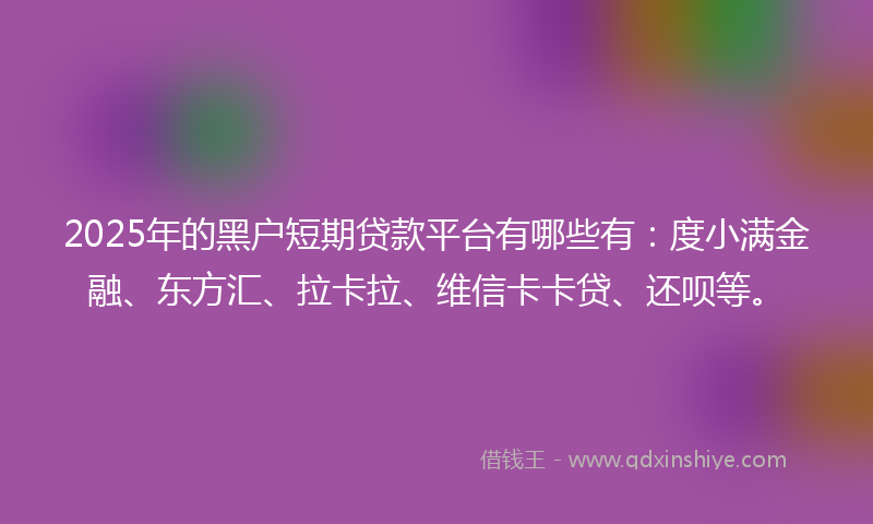 2025年的黑户短期贷款平台有哪些有：度小满金融、东方汇、拉卡拉、维信卡卡贷、还呗等。