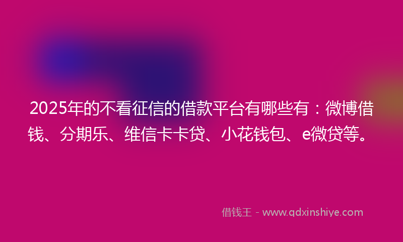 2025年的不看征信的借款平台有哪些有：微博借钱、分期乐、维信卡卡贷、小花钱包、e微贷等。