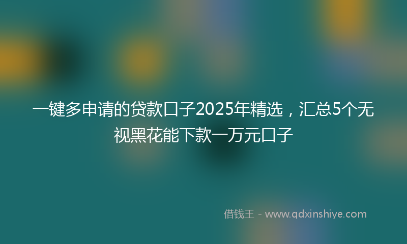 一键多申请的贷款口子2025年精选，汇总5个无视黑花能下款一万元口子