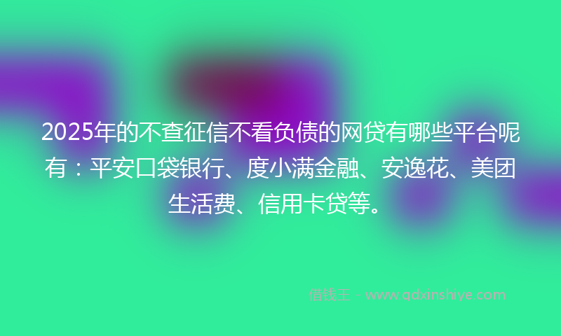 2025年的不查征信不看负债的网贷有哪些平台呢有：平安口袋银行、度小满金融、安逸花、美团生活费、信用卡贷等。