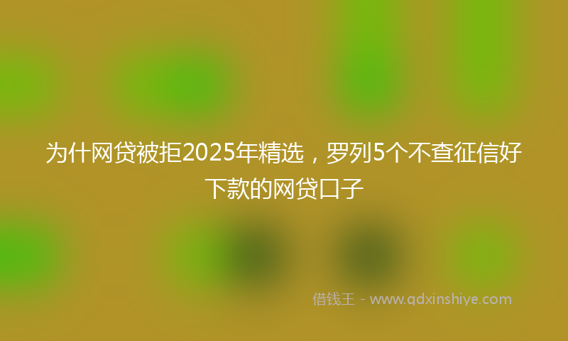 为什网贷被拒2025年精选，罗列5个不查征信好下款的网贷口子