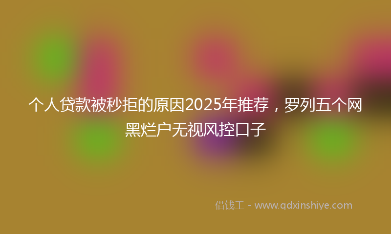 个人贷款被秒拒的原因2025年推荐，罗列五个网黑烂户无视风控口子