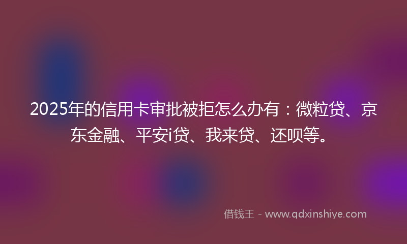 2025年的信用卡审批被拒怎么办有：微粒贷、京东金融、平安i贷、我来贷、还呗等。