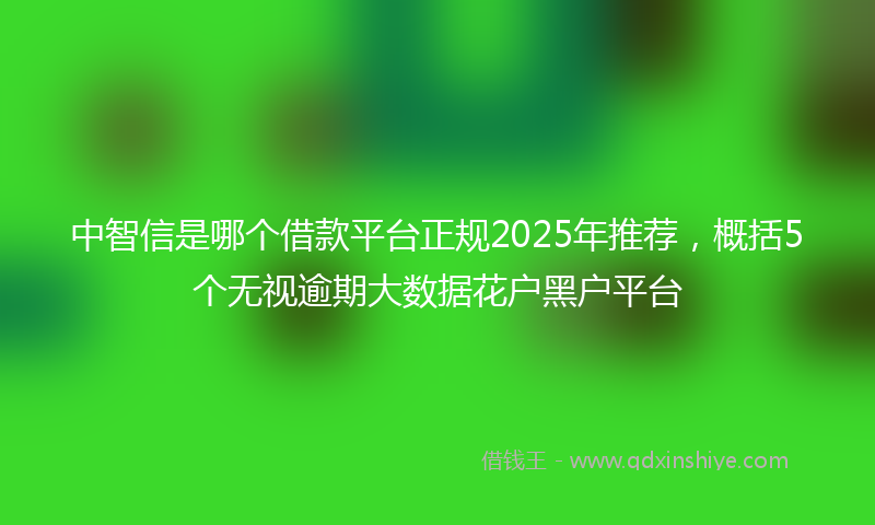 中智信是哪个借款平台正规2025年推荐，概括5个无视逾期大数据花户黑户平台