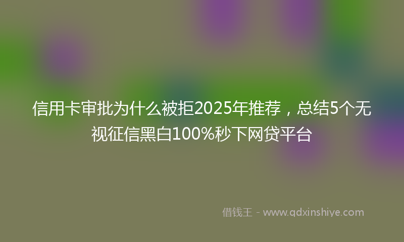 信用卡审批为什么被拒2025年推荐，总结5个无视征信黑白100%秒下网贷平台