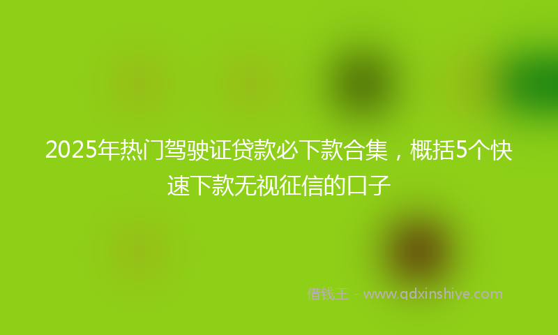 2025年热门驾驶证贷款必下款合集，概括5个快速下款无视征信的口子