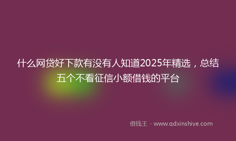 什么网贷好下款有没有人知道2025年精选，总结五个不看征信小额借钱的平台
