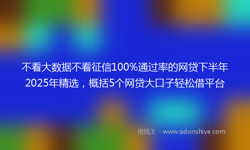 不看大数据不看征信100%通过率的网贷下半年2025年精选，概括5个网贷大口子轻松借平台