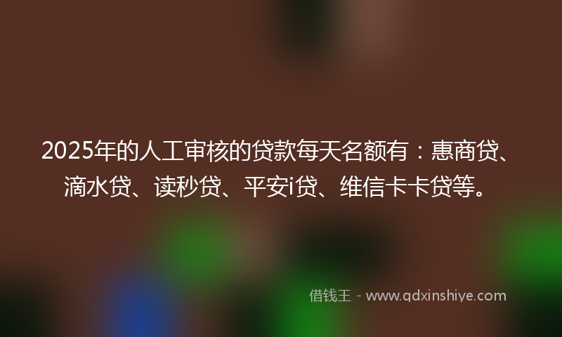 2025年的人工审核的贷款每天名额有：惠商贷、滴水贷、读秒贷、平安i贷、维信卡卡贷等。