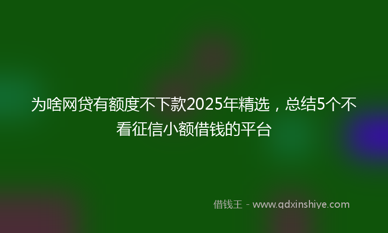 为啥网贷有额度不下款2025年精选，总结5个不看征信小额借钱的平台
