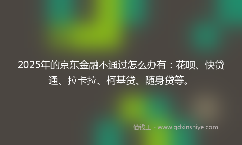 2025年的京东金融不通过怎么办有：花呗、快贷通、拉卡拉、柯基贷、随身贷等。