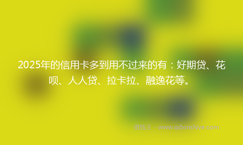 2025年的信用卡多到用不过来的有：好期贷、花呗、人人贷、拉卡拉、融逸花等。