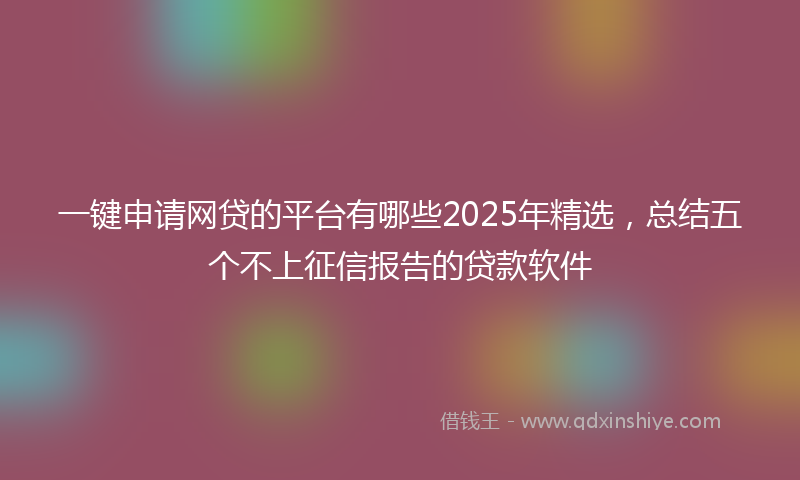 一键申请网贷的平台有哪些2025年精选，总结五个不上征信报告的贷款软件