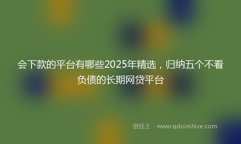 会下款的平台有哪些2025年精选，归纳五个不看负债的长期网贷平台