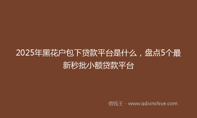 2025年黑花户包下贷款平台是什么，盘点5个最新秒批小额贷款平台