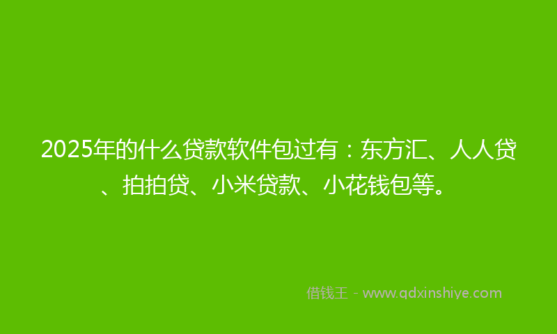 2025年的什么贷款软件包过有：东方汇、人人贷、拍拍贷、小米贷款、小花钱包等。