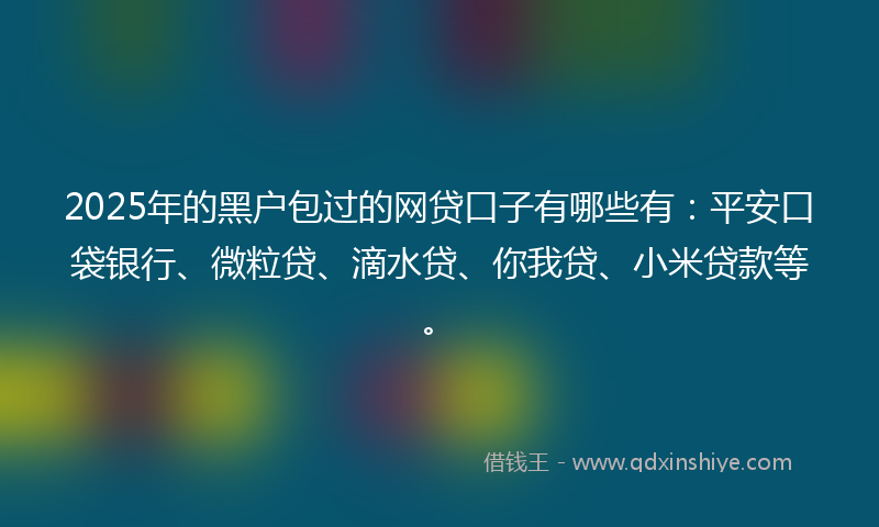 2025年的黑户包过的网贷口子有哪些有：平安口袋银行、微粒贷、滴水贷、你我贷、小米贷款等。