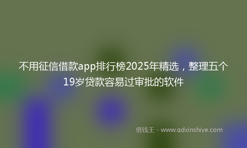 不用征信借款app排行榜2025年精选，整理五个19岁贷款容易过审批的软件