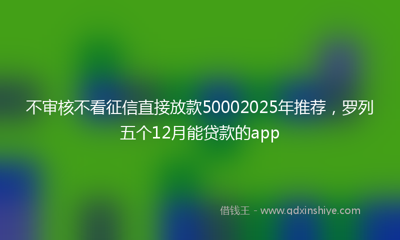 不审核不看征信直接放款50002025年推荐，罗列五个12月能贷款的app