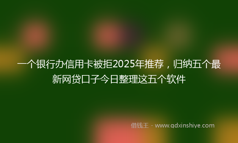 一个银行办信用卡被拒2025年推荐，归纳五个最新网贷口子今日整理这五个软件