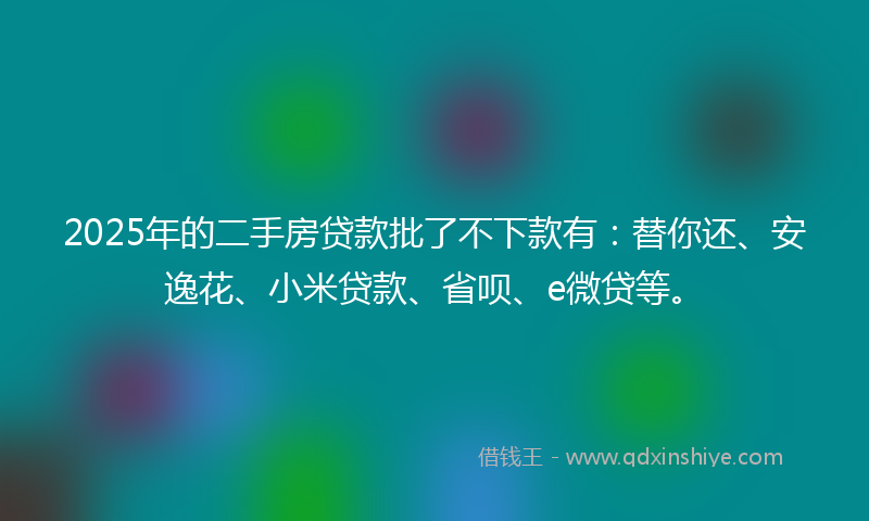 2025年的二手房贷款批了不下款有：替你还、安逸花、小米贷款、省呗、e微贷等。