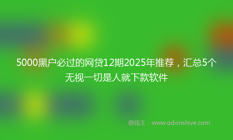 5000黑户必过的网贷12期2025年推荐，汇总5个无视一切是人就下款软件