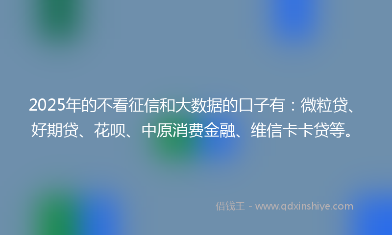 2025年的不看征信和大数据的口子有：微粒贷、好期贷、花呗、中原消费金融、维信卡卡贷等。