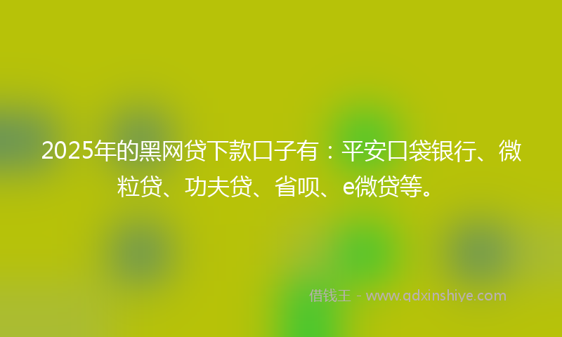 2025年的黑网贷下款口子有：平安口袋银行、微粒贷、功夫贷、省呗、e微贷等。