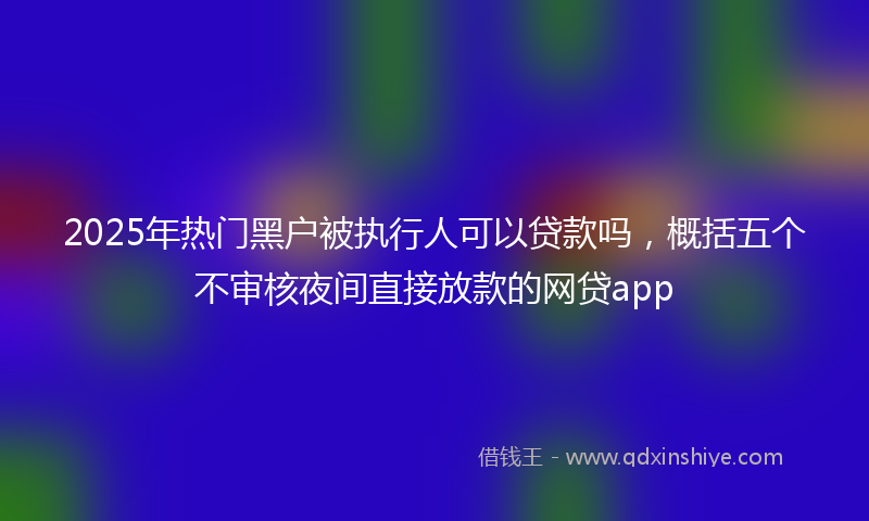 2025年热门黑户被执行人可以贷款吗，概括五个不审核夜间直接放款的网贷app