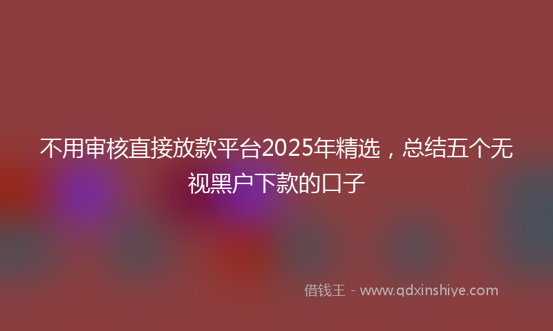 不用审核直接放款平台2025年精选，总结五个无视黑户下款的口子