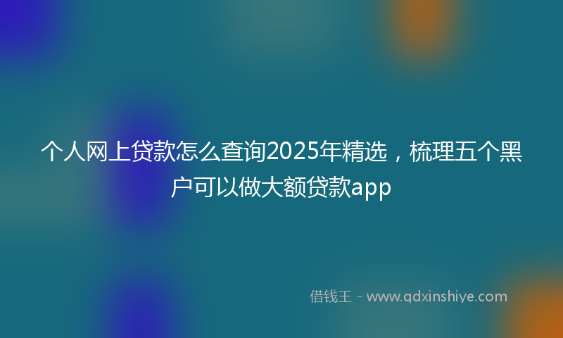 个人网上贷款怎么查询2025年精选，梳理五个黑户可以做大额贷款app