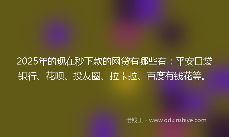2025年的现在秒下款的网贷有哪些有：平安口袋银行、花呗、投友圈、拉卡拉、百度有钱花等。